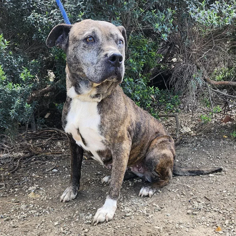 Hermione thumbnail 2