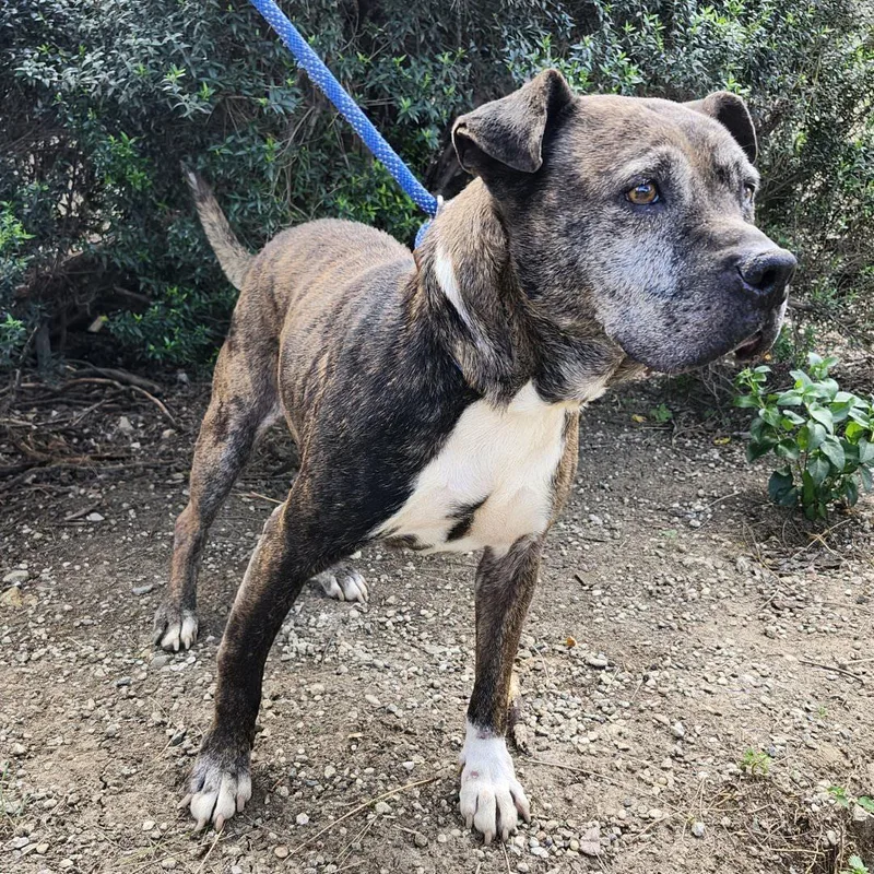 Hermione thumbnail 5