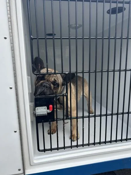 Frank