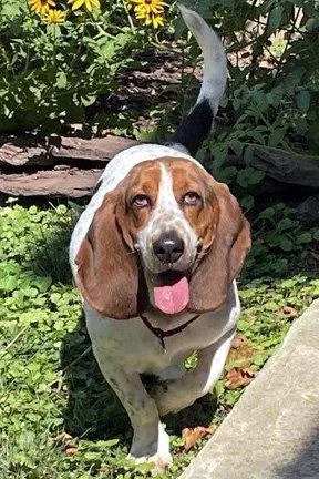 LUCY aka LULA thumbnail 3