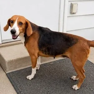 Catherine thumbnail 2