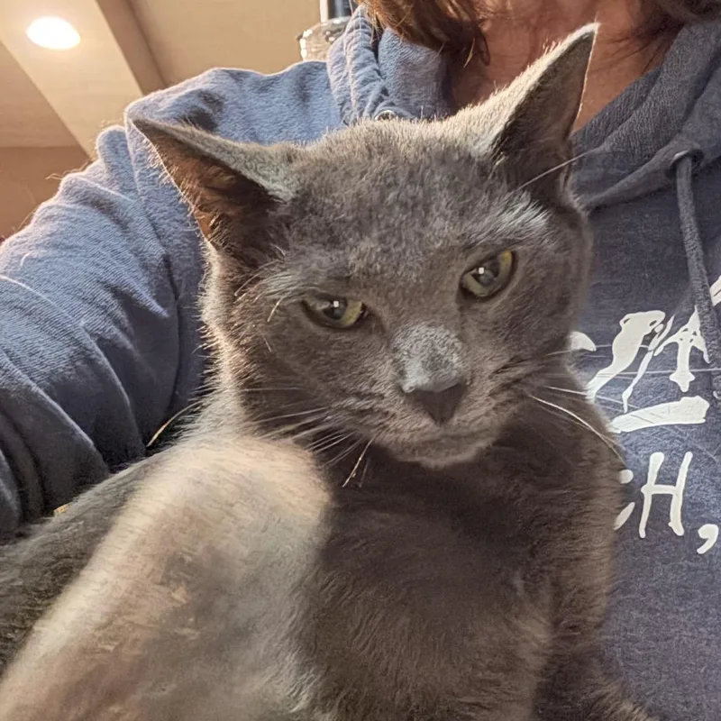 Confetti thumbnail 3