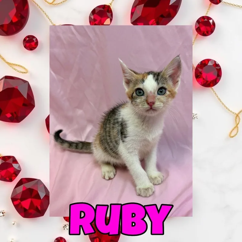 Ruby