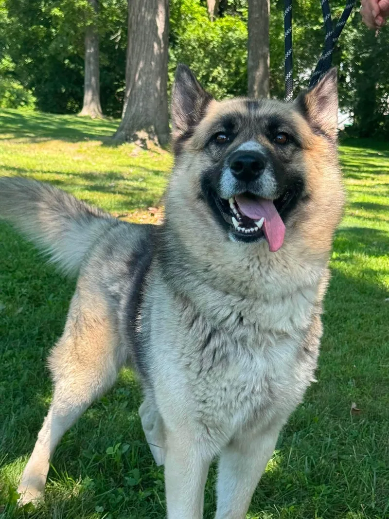 McLovin thumbnail 3