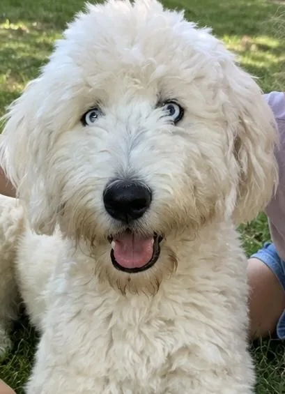 Murphy