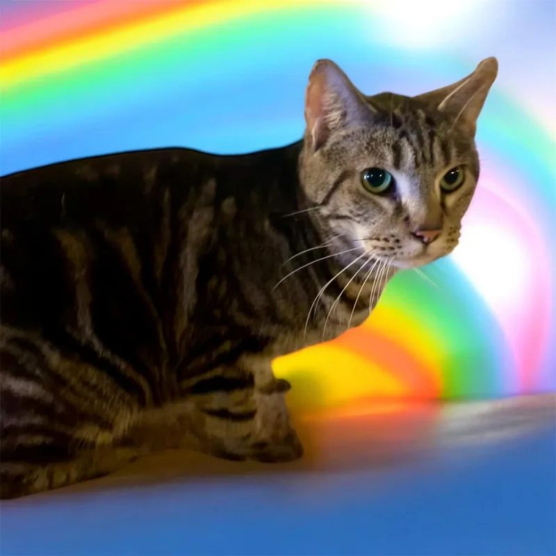 Mercury  Sc thumbnail 3