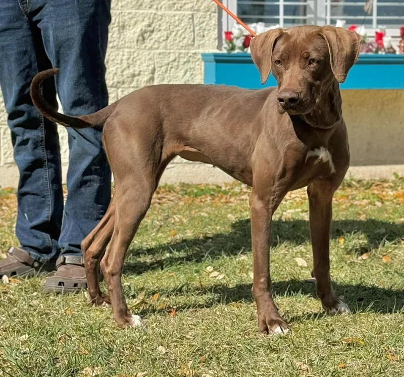 Babby Birdie thumbnail 2