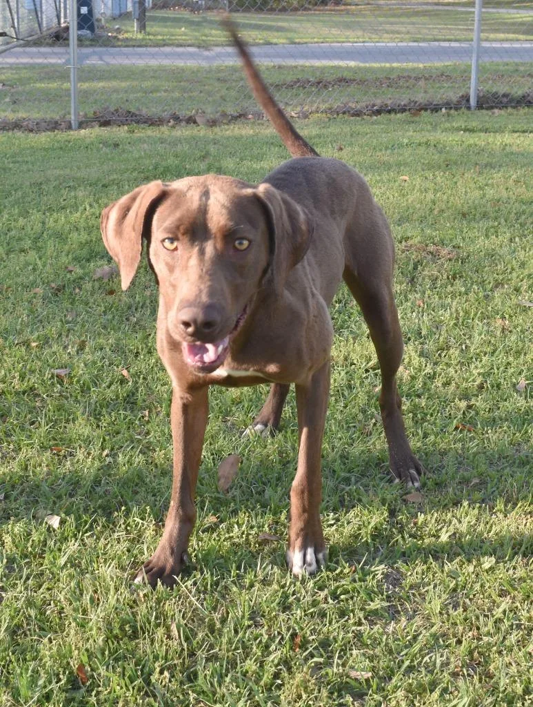 Babby Birdie thumbnail 3