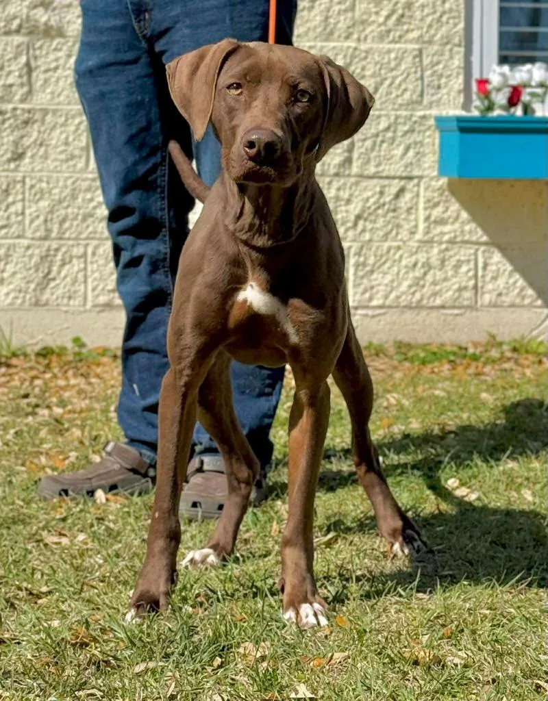 Babby Birdie thumbnail 4