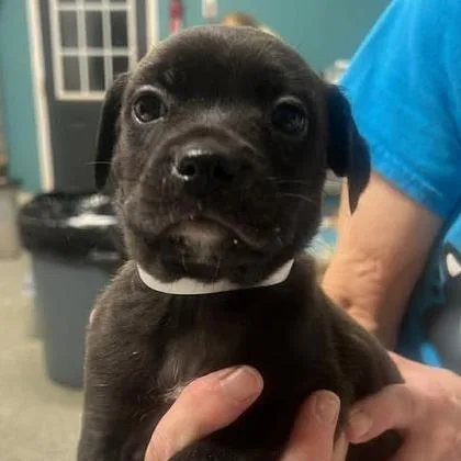 Tinkersmith thumbnail 2