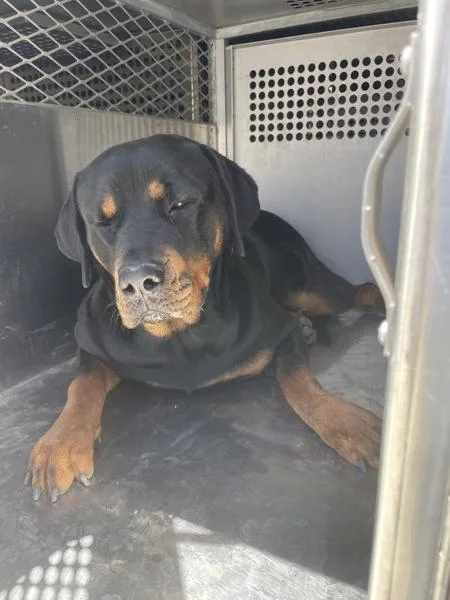Mary