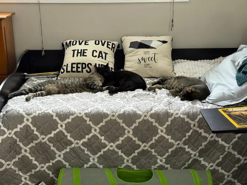 Wednesday thumbnail 2