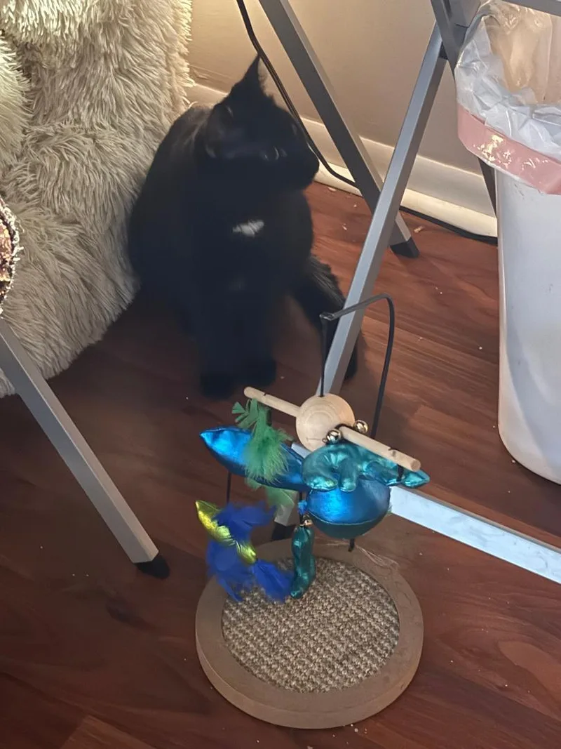 Wednesday thumbnail 3