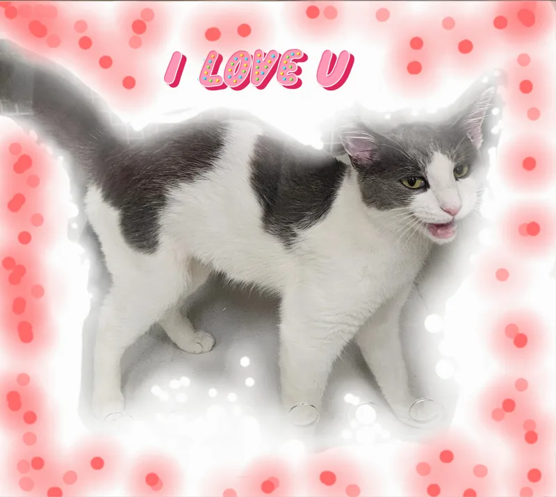 Ms. Cloud Is On thumbnail 2