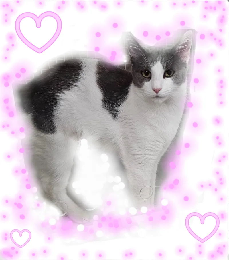 Ms. Cloud Is On thumbnail 3