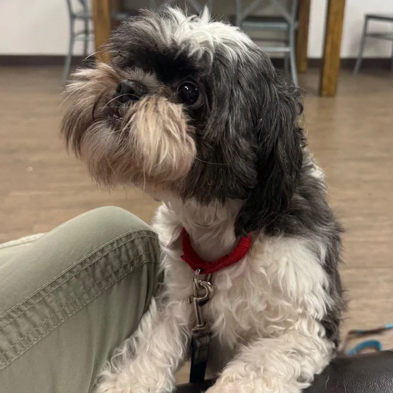Max
