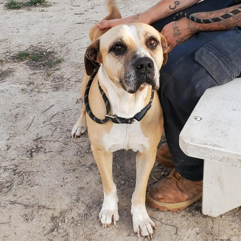 Ford Jum thumbnail 2