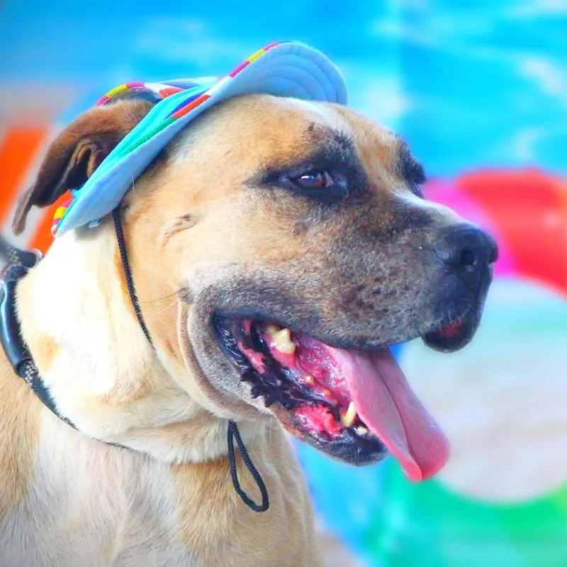 Ford Jum thumbnail 5