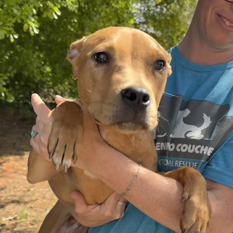 Brittney thumbnail 5