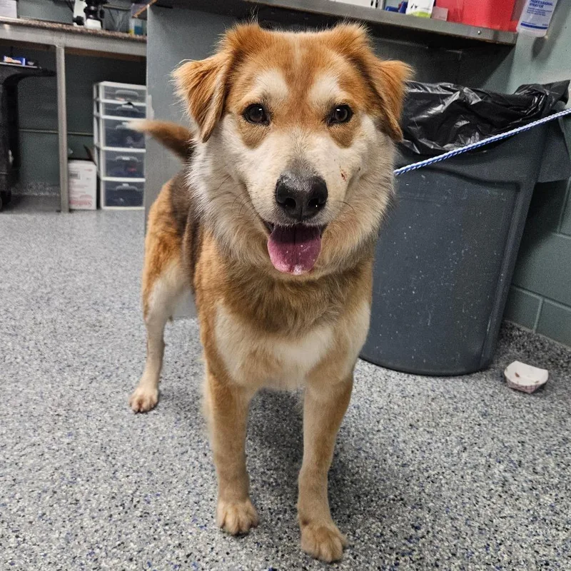 Cutie Patootie thumbnail 2