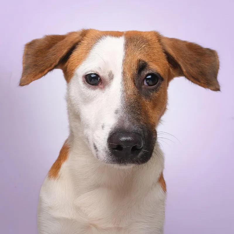 Nucita C thumbnail 3