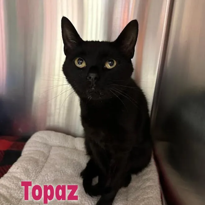 Topaz