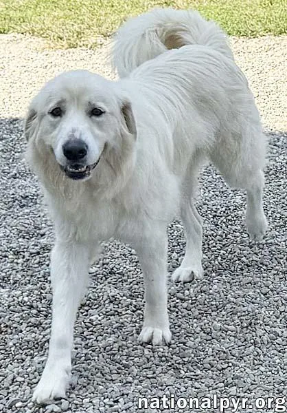 Ellie In Tn  thumbnail 2