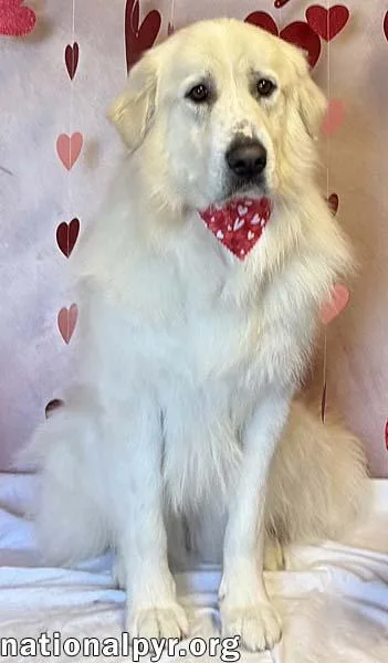 Ellie In Tn  thumbnail 3