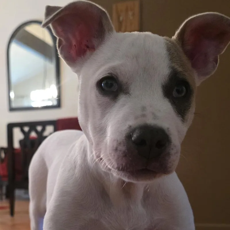 Sammi thumbnail 6