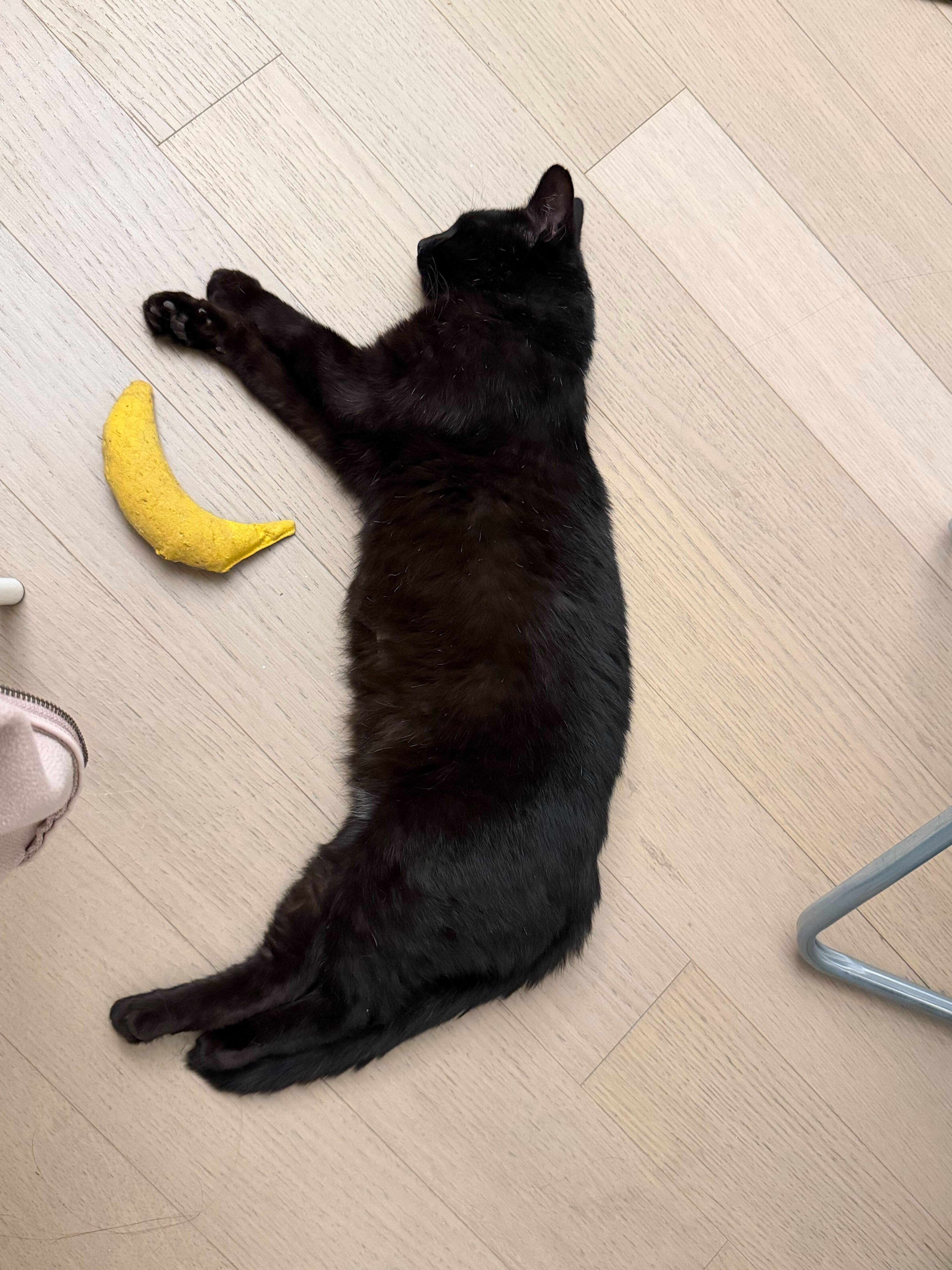 Taro Boba thumbnail 5