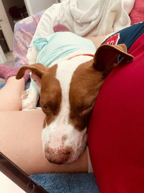 Macarena thumbnail 4