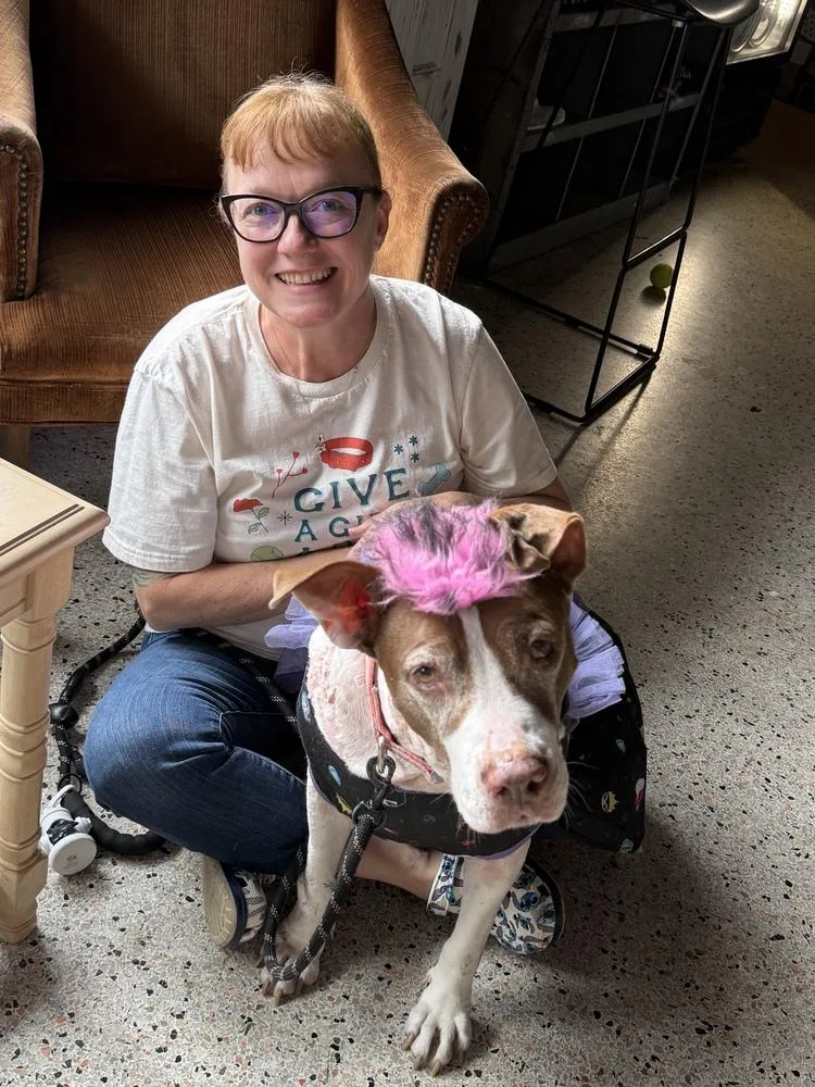 Macarena thumbnail 5