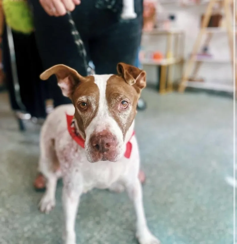 Macarena thumbnail 6