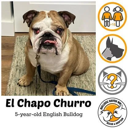 El Chapo Churro thumbnail 2
