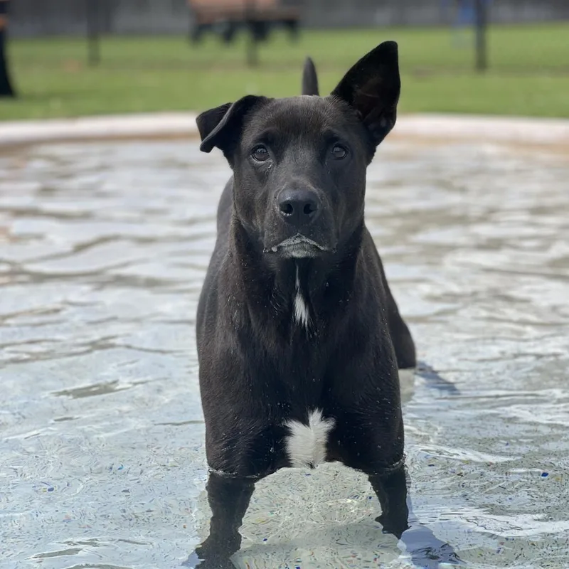 Laken Aka Baylee thumbnail 4