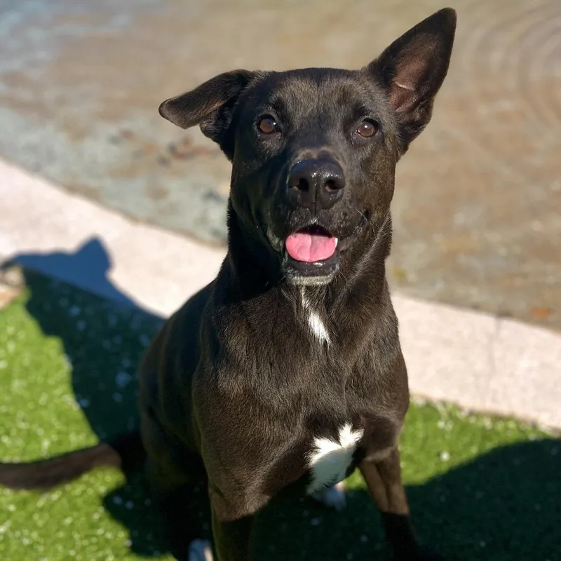 Laken Aka Baylee thumbnail 5