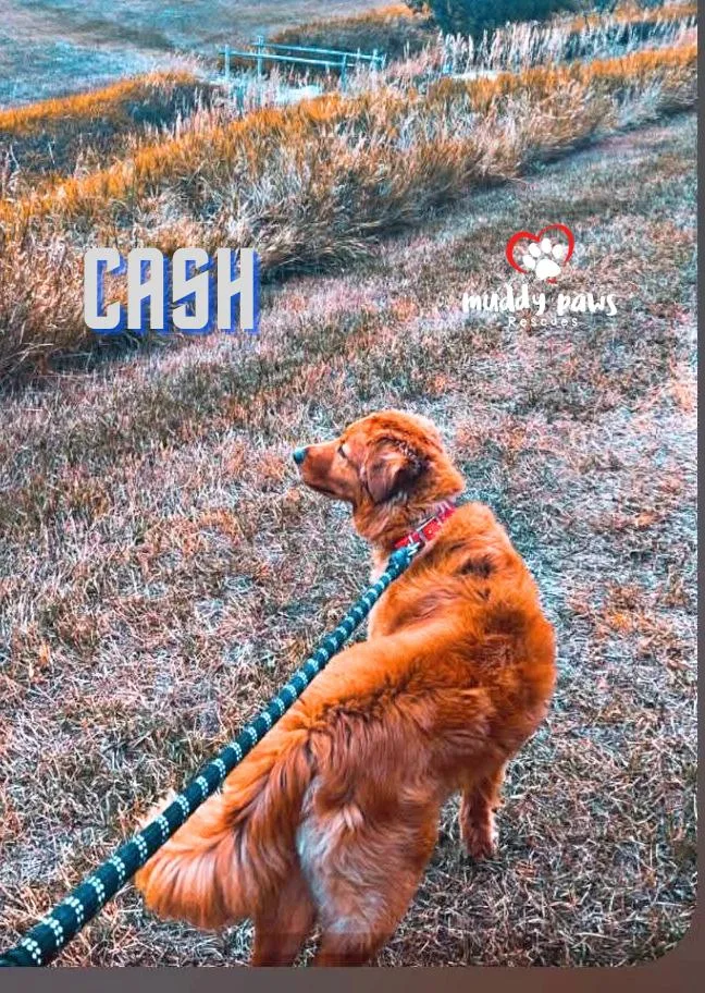 Cash thumbnail 3