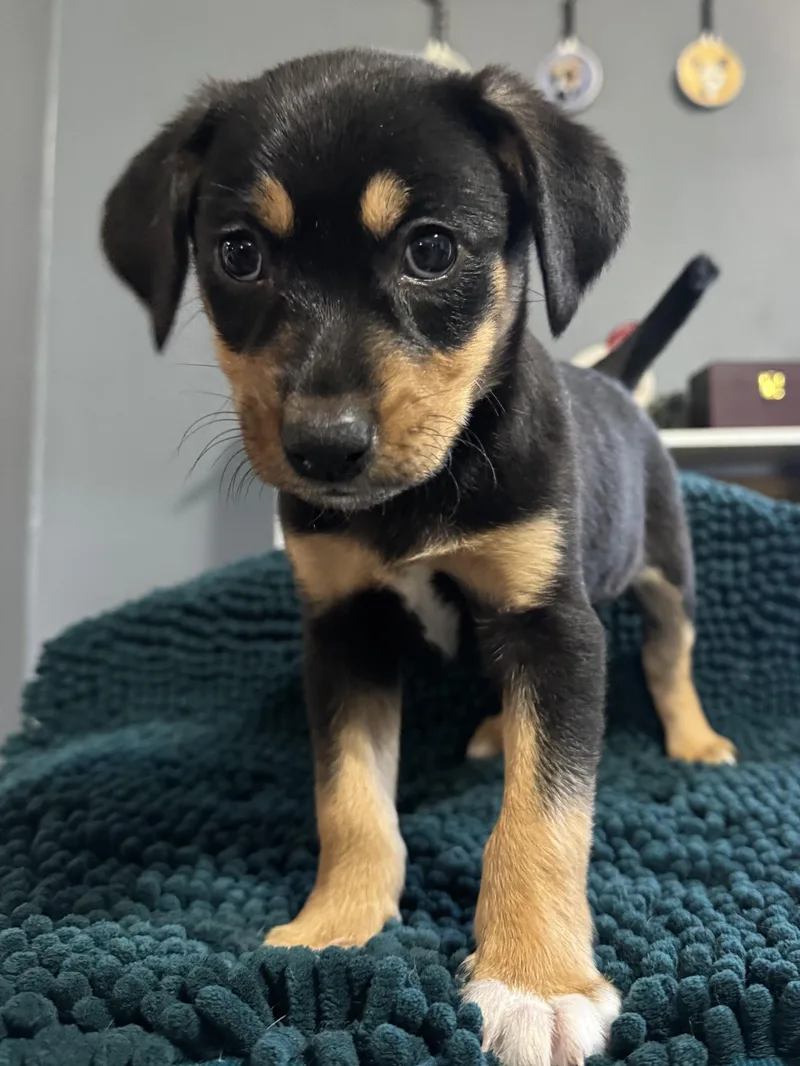 Sophie! Happy Silly Girl