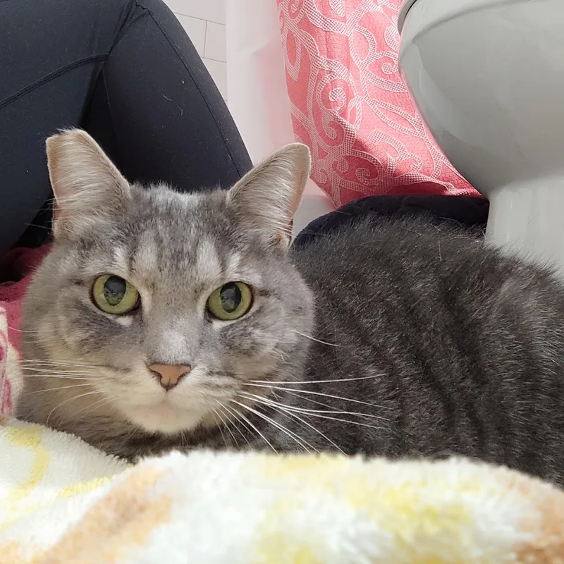 Sweet Um thumbnail 3