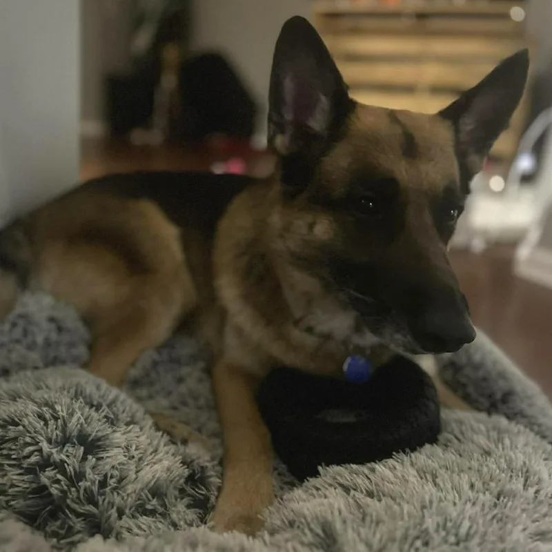 Arthur thumbnail 2