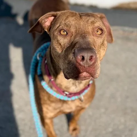 Felicity thumbnail 2