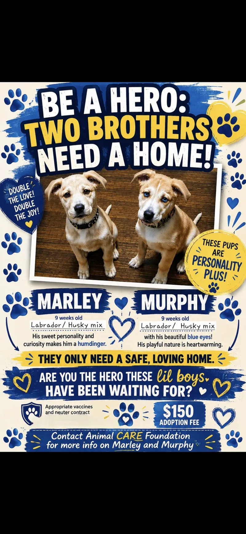 Marley and Murphy thumbnail 3