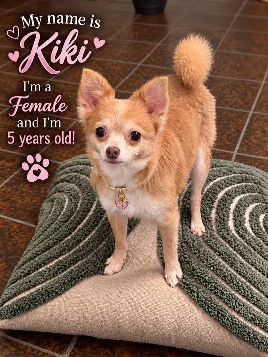 Kiki
