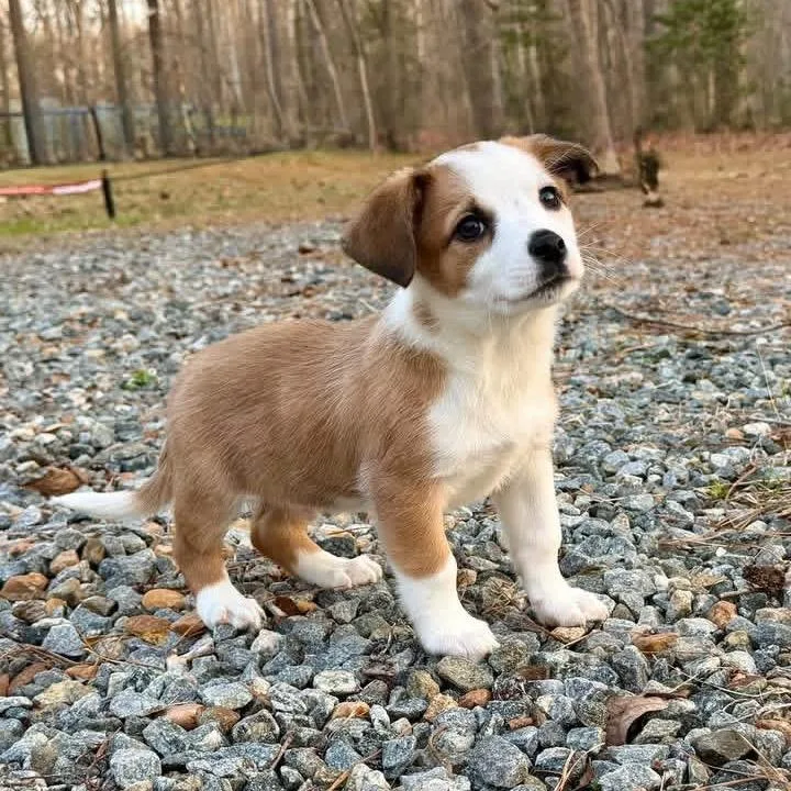 Squidward thumbnail 3