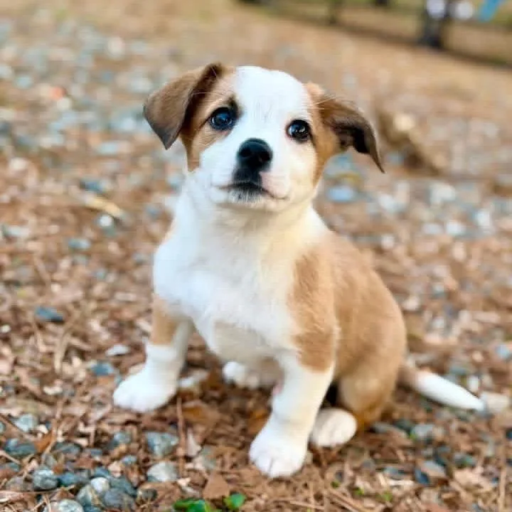 Squidward thumbnail 6