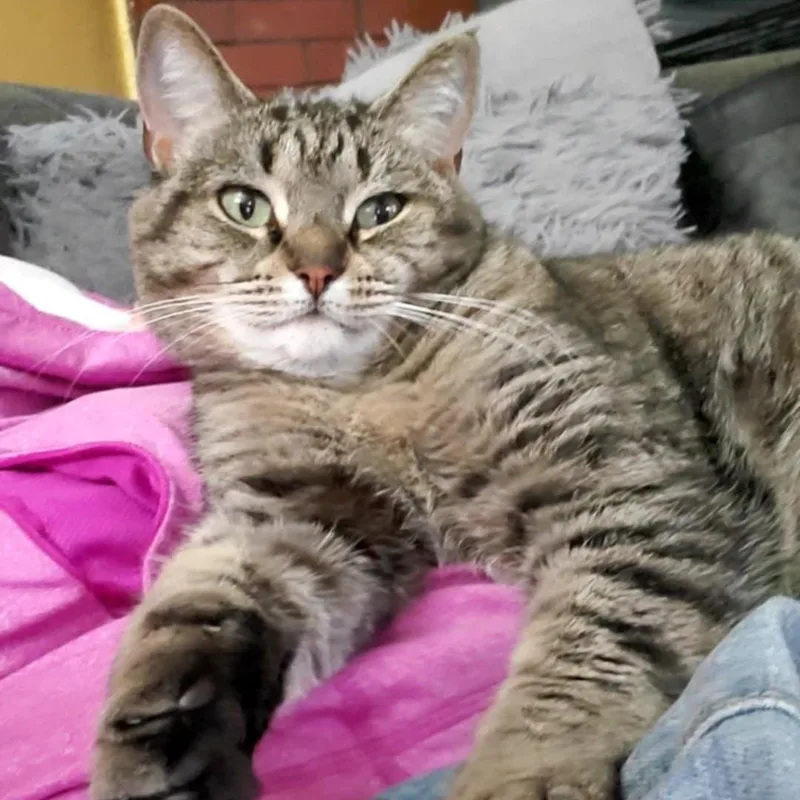 Thelma thumbnail 3