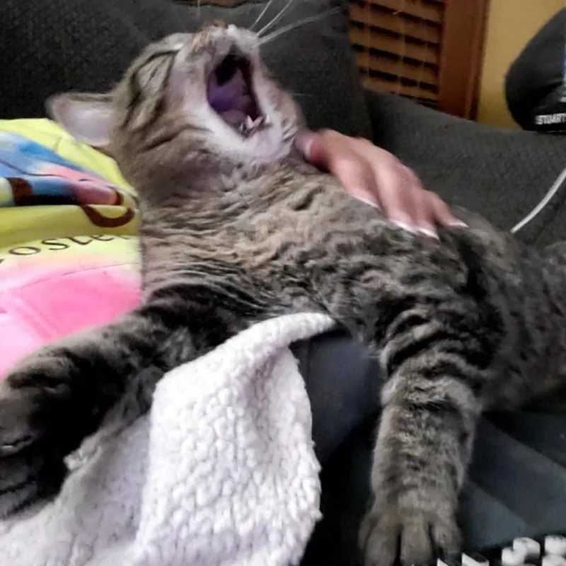 Thelma thumbnail 5