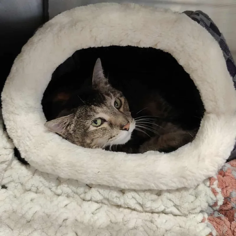 Lillysponsored! thumbnail 2