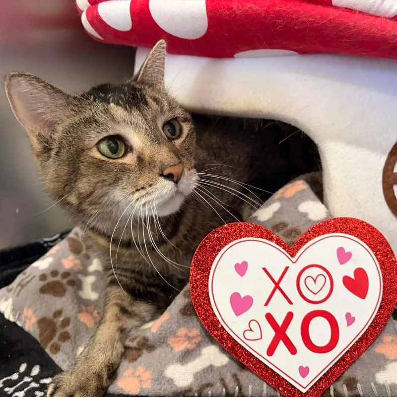 Lillysponsored! thumbnail 4