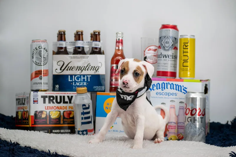 Coors thumbnail 3